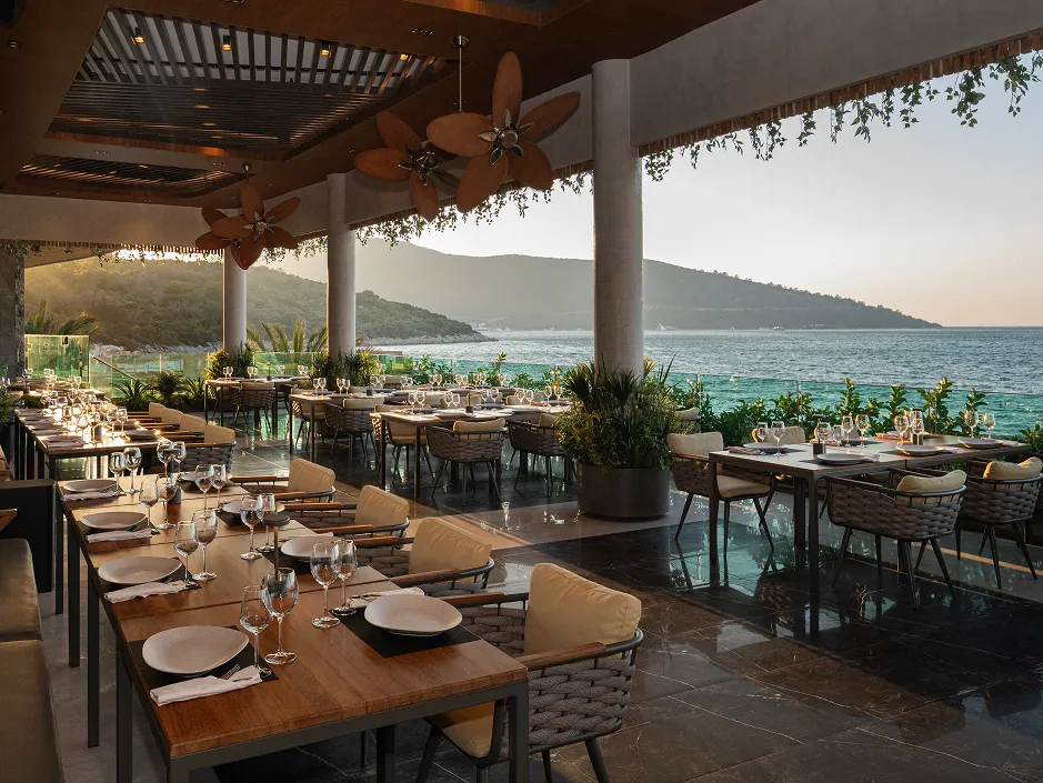 Azure Salt Sea Food