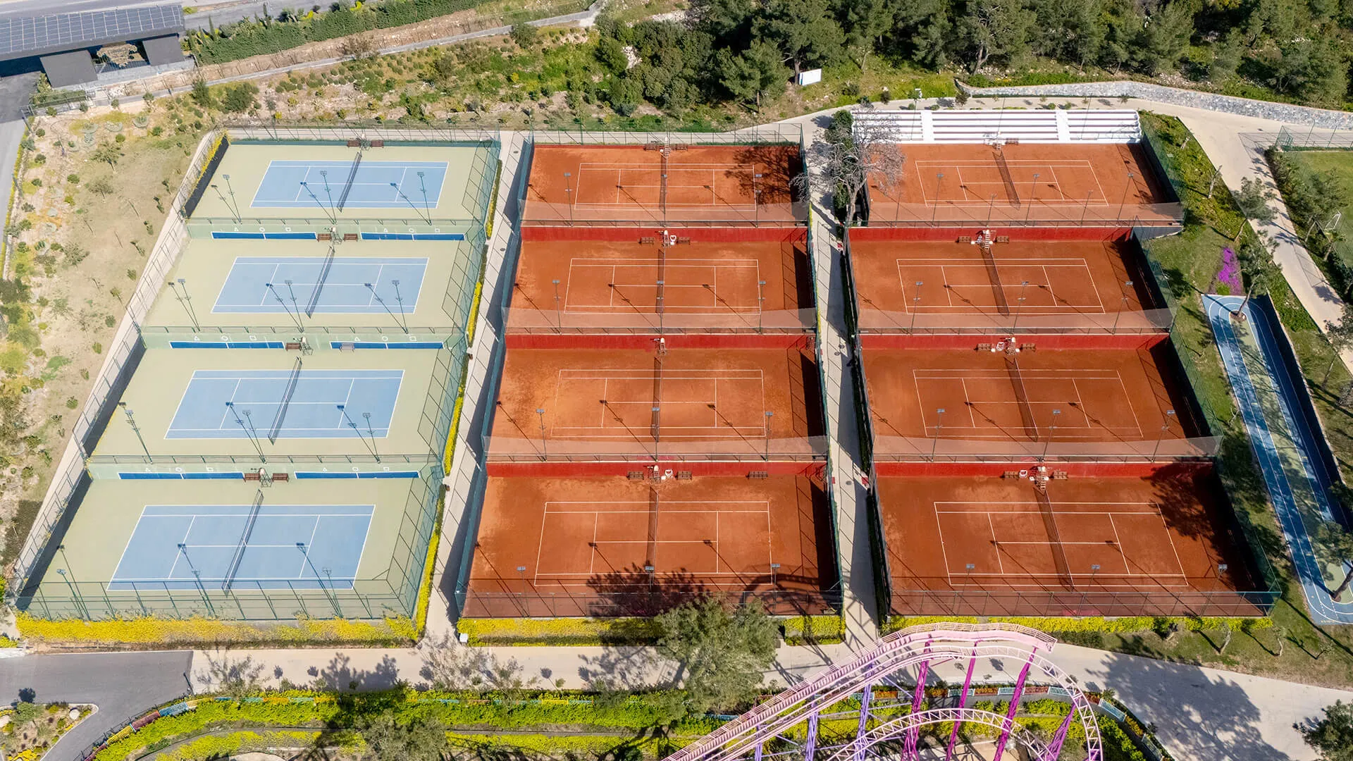 Tenis